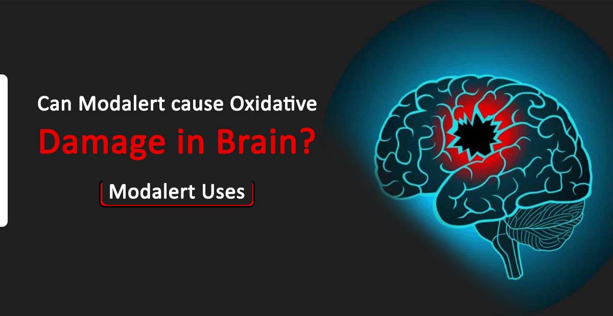 Can-Modalert-cause-Oxidative